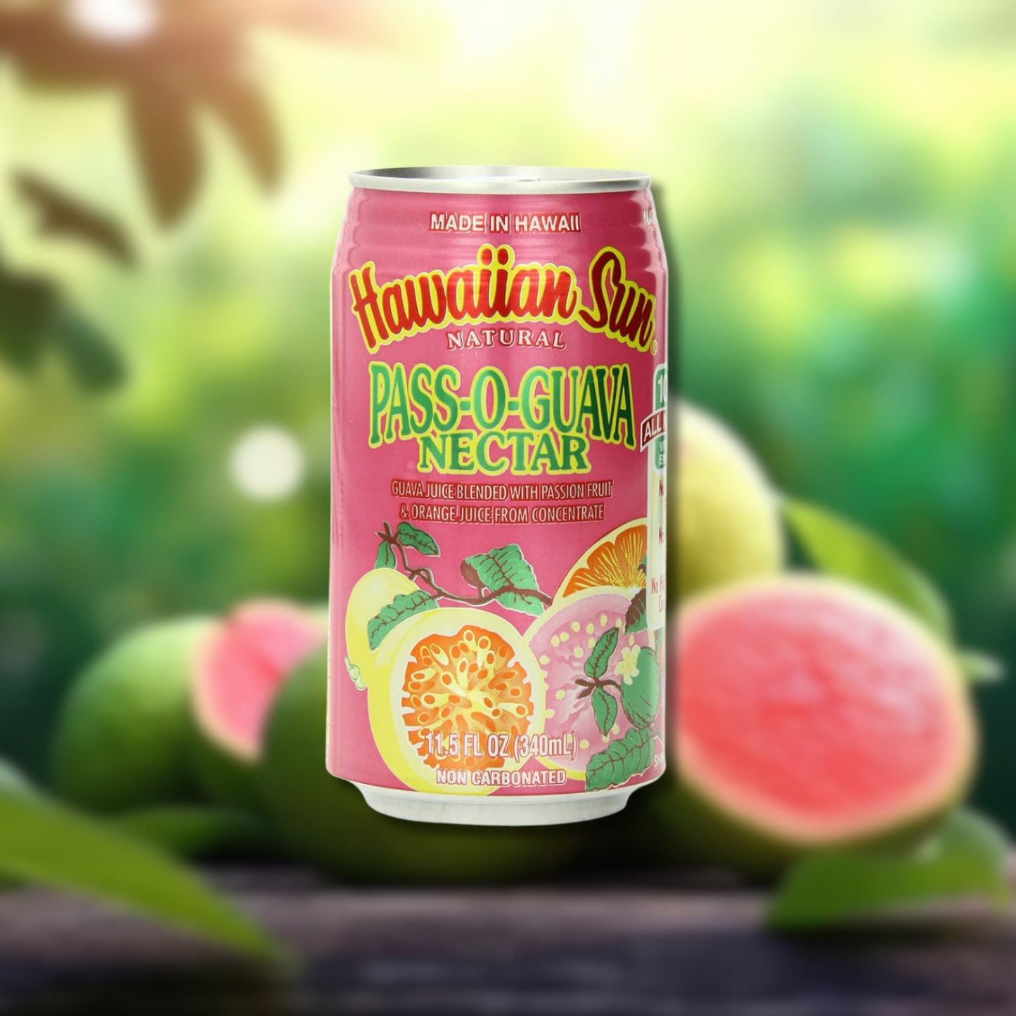 Hawaiian Sun Pass-O-Guava Nectar